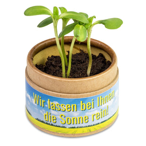 Confezione Eco con Piante - personalizzabile con logo