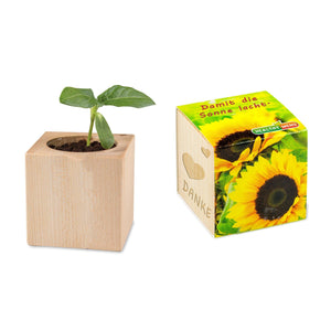 Ecocube Personalizzato (4cm x lato) - personalizzabile con logo