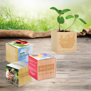 Ecocube Personalizzato (4cm x lato) - personalizzabile con logo