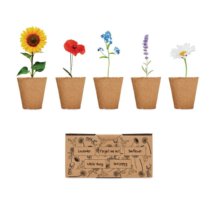 Kit per coltivare fiori beige - personalizzabile con logo