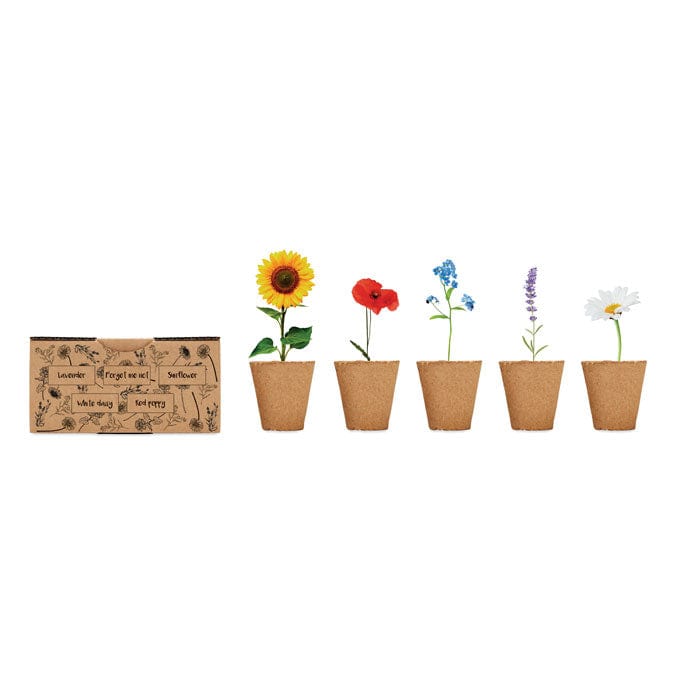 Kit per coltivare fiori - personalizzabile con logo