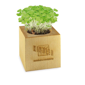 Maxi Ecocube Personalizzato (6cm x lato) - personalizzabile con logo