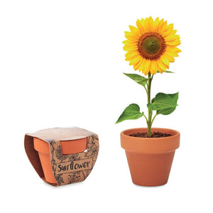 Semi di girasole - personalizzabile con logo