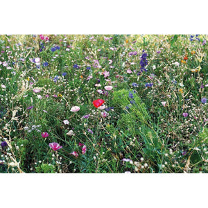 Semi misti di fiori per le api beige - personalizzabile con logo