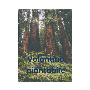 Volantini Piantabili - personalizzabile con logo