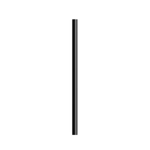 BIC® Evolution® Basalt senza gomma personalizzata — Nero / Non Temperata