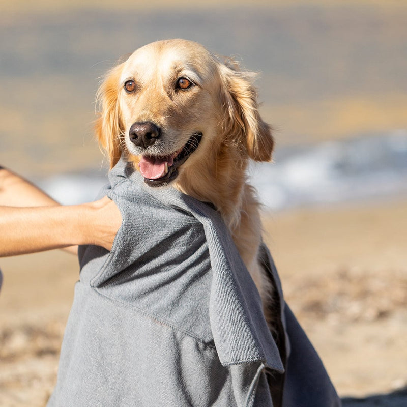 Asciugamano per cani personalizzato grigio - personalizzabile con logo