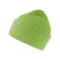 Berretto Oak acid green - personalizzabile con logo