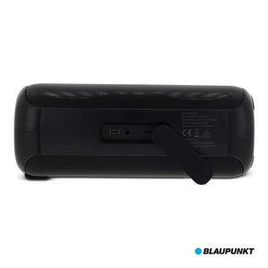 Blaupunkt Cassa portatile LED 20W Nero - personalizzabile con logo