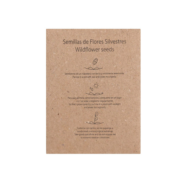 Busta di Semi Balvor natural - personalizzabile con logo
