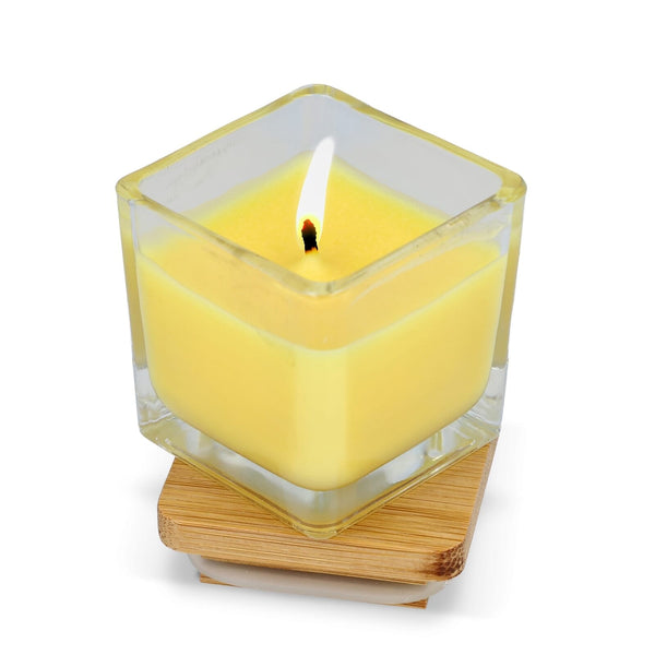 Candela a base di piante Chakra in barattolo di vetro - personalizzabile con logo