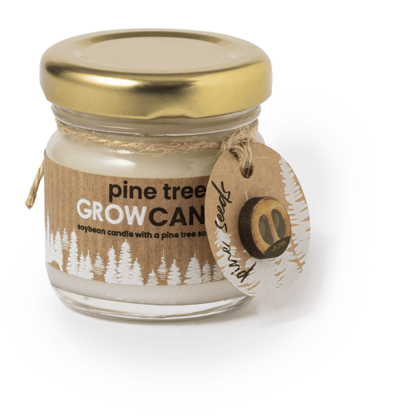 Candela Aromatica Lisa - personalizzabile con logo