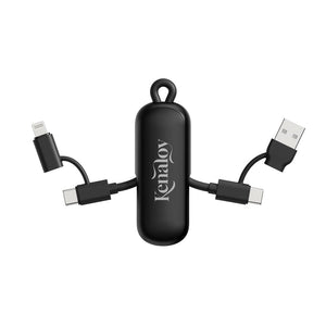 Cavo/portachiavi 4 in 1 100W Urban Vitamin Dublin - personalizzabile con logo