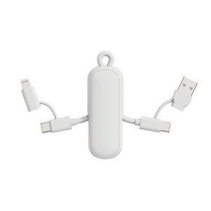 Cavo/portachiavi 4 in 1 100W Urban Vitamin Dublin - personalizzabile con logo