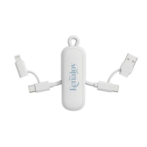 Cavo/portachiavi 4 in 1 100W Urban Vitamin Dublin - personalizzabile con logo