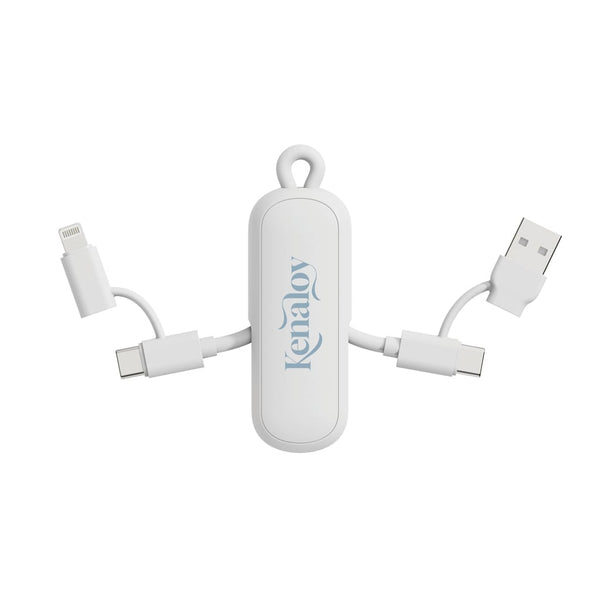 Cavo/portachiavi 4 in 1 100W Urban Vitamin Dublin - personalizzabile con logo