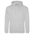 Felpa College Hoodie moondust grey / S - personalizzabile con logo