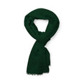 Foulard Ribban verde - personalizzabile con logo
