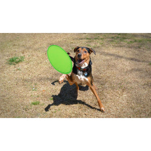 Frisbee Watson - personalizzabile con logo