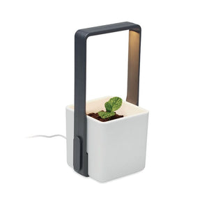 Giardino interno con luce LED Bianco - personalizzabile con logo