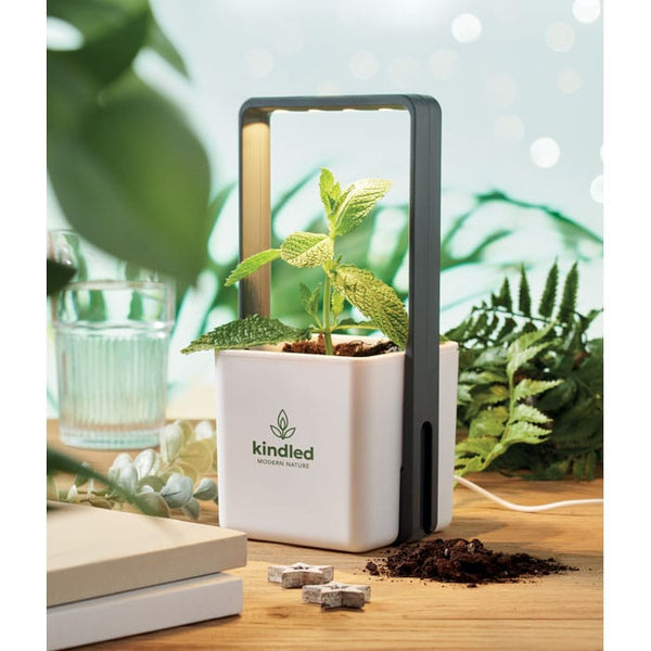 Giardino interno con luce LED Bianco - personalizzabile con logo