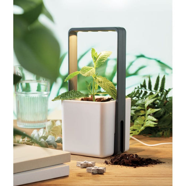 Giardino interno con luce LED Bianco - personalizzabile con logo