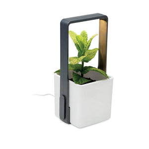 Giardino interno con luce LED Bianco - personalizzabile con logo