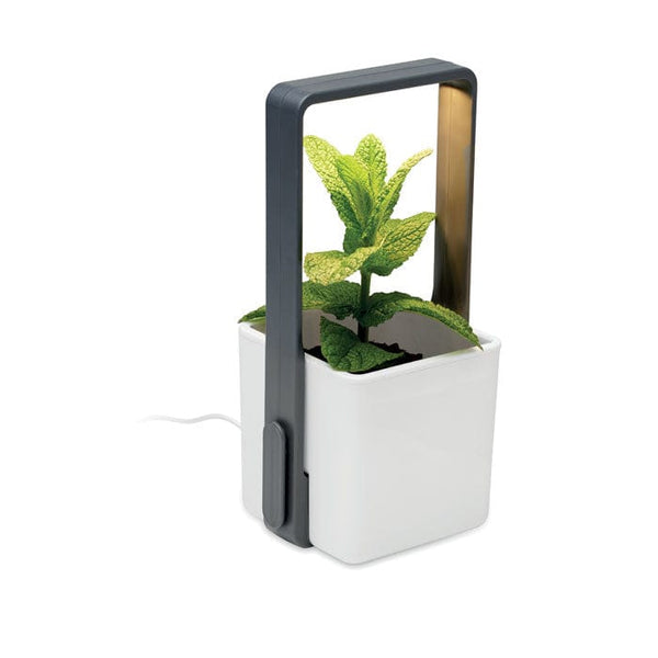 Giardino interno con luce LED Bianco - personalizzabile con logo