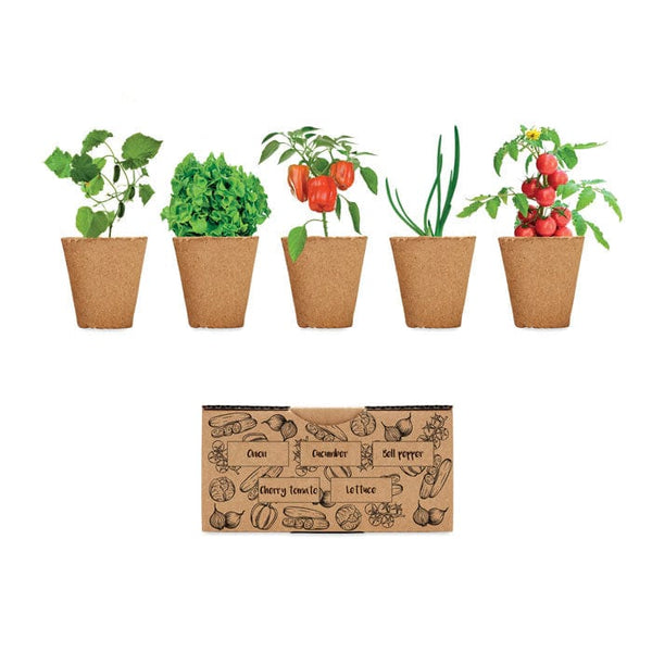 Kit per coltivare insalata beige - personalizzabile con logo