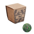 Kit per semi di menta beige - personalizzabile con logo