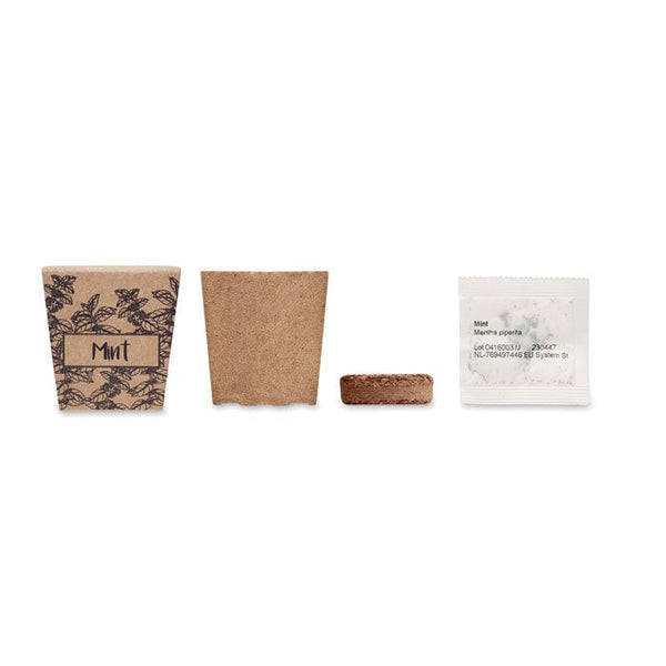 Kit per semi di menta beige - personalizzabile con logo