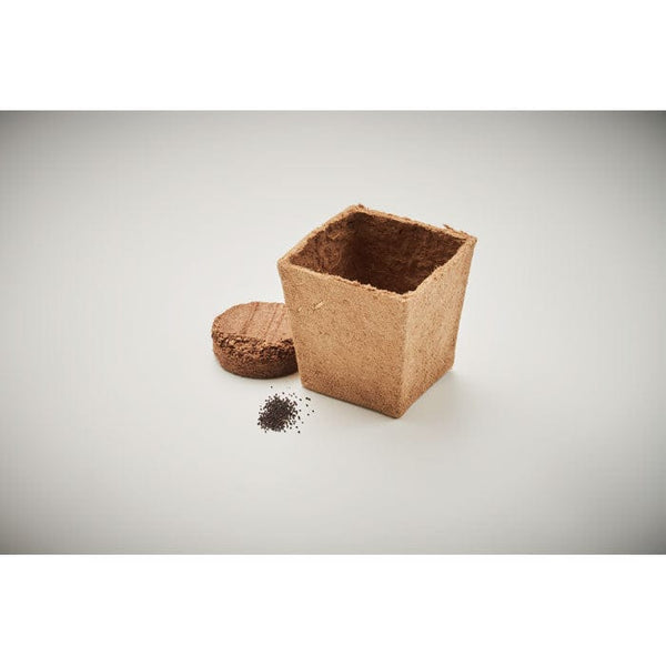 Kit per semi di menta beige - personalizzabile con logo