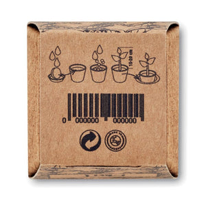 Kit per semi di menta beige - personalizzabile con logo