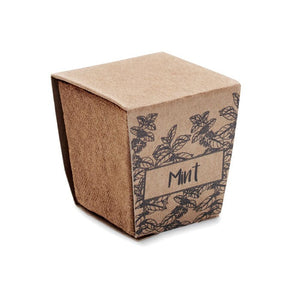 Kit per semi di menta beige - personalizzabile con logo