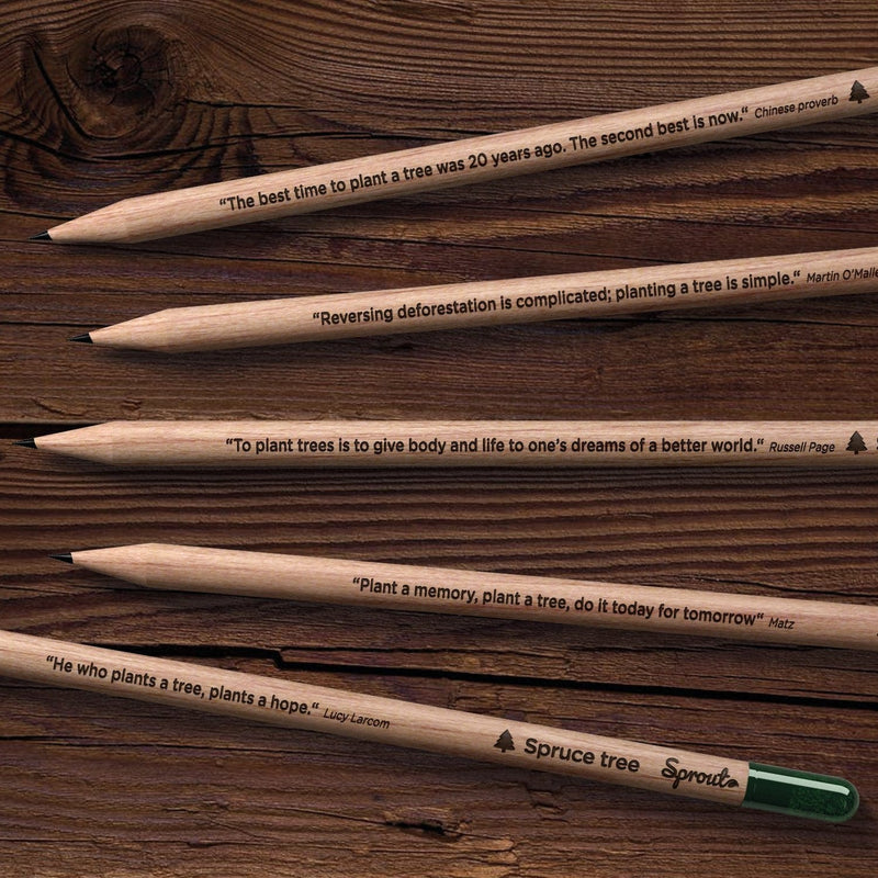 22803 matite ecologiche con semi personalizzate