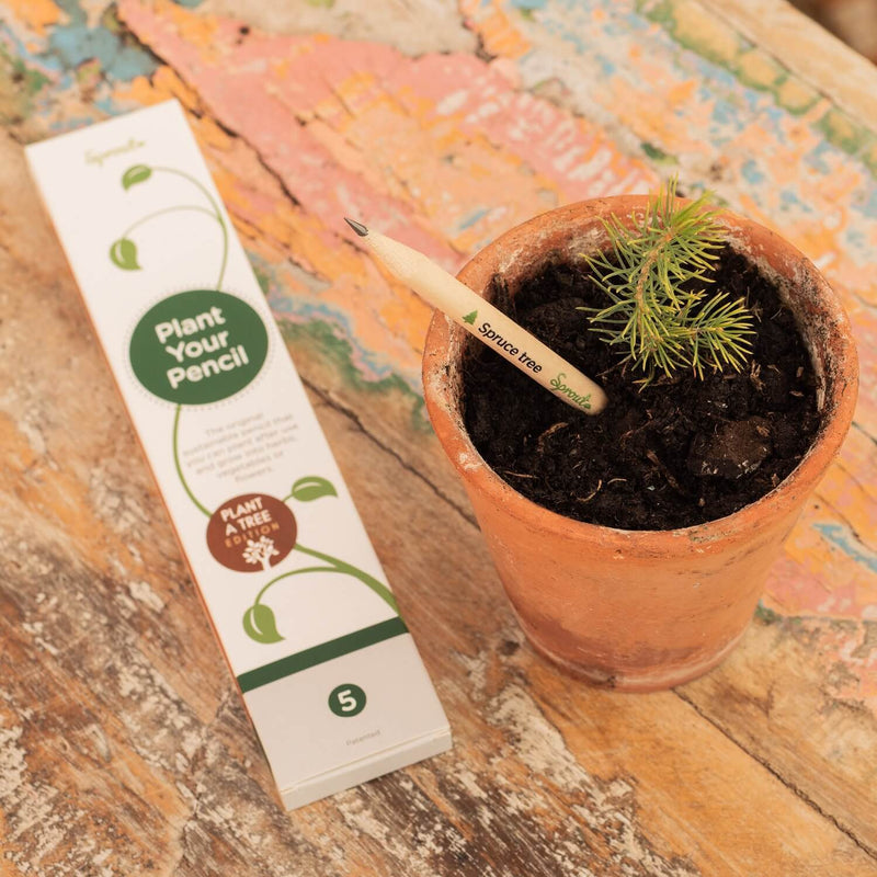 Matita Sprout Personalizzata - Matite piantabili personalizzate