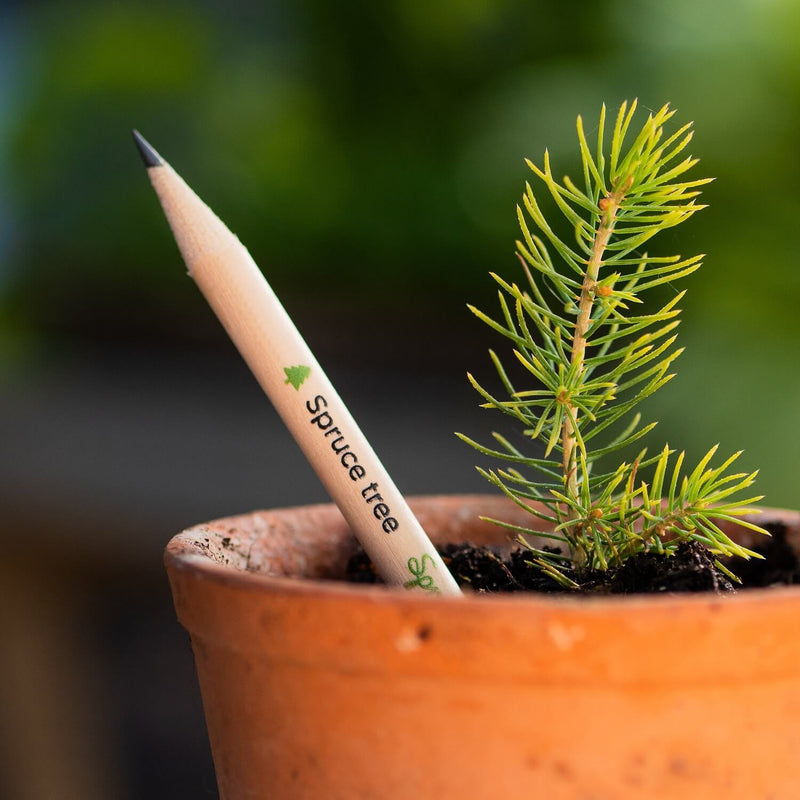 Eco-matite Sprout top gadget aziendali personalizzati da piantare