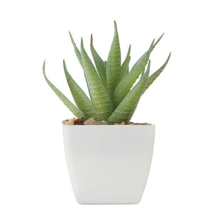 Mini pianta artificiale aloe ferox Bianco - personalizzabile con logo