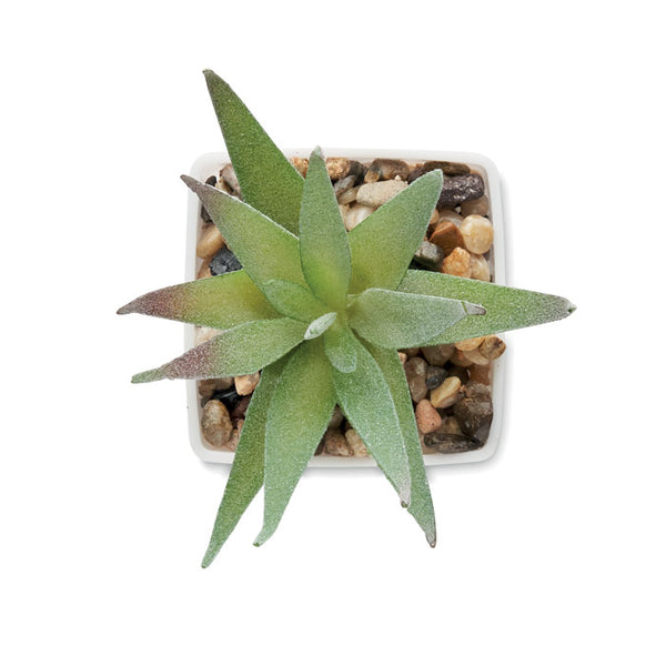 Mini pianta artificiale aloe ferox Bianco - personalizzabile con logo