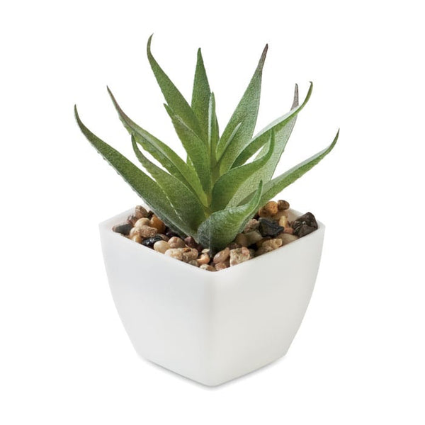 Mini pianta artificiale aloe ferox Bianco - personalizzabile con logo