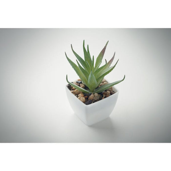 Mini pianta artificiale aloe ferox Bianco - personalizzabile con logo