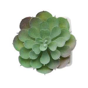 Mini pianta artificiale echeveria forma Bianco - personalizzabile con logo