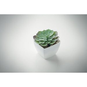 Mini pianta artificiale echeveria forma Bianco - personalizzabile con logo