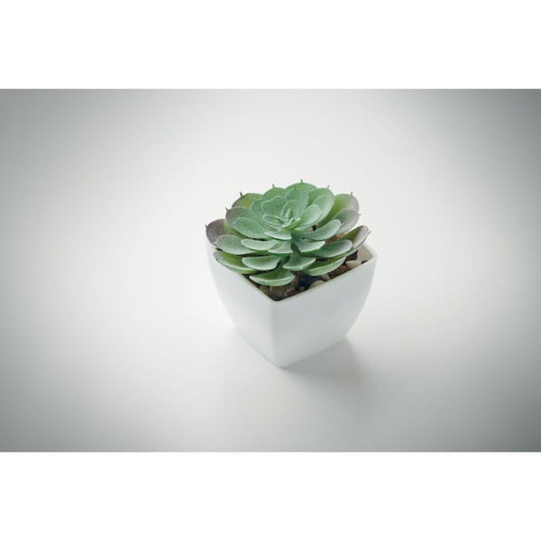 Mini pianta artificiale echeveria forma Bianco - personalizzabile con logo