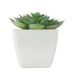 Mini pianta artificiale echeveria forma Bianco - personalizzabile con logo
