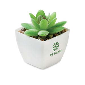 Mini pianta artificiale graptopetalum paraguayense Bianco - personalizzabile con logo