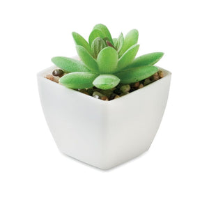 Mini pianta artificiale graptopetalum paraguayense Bianco - personalizzabile con logo