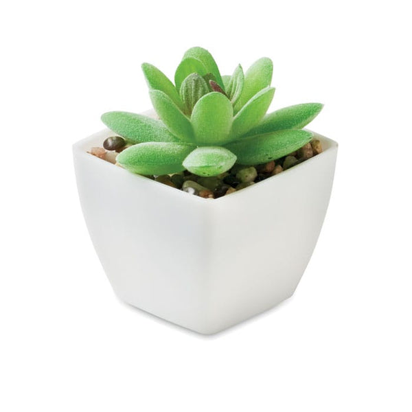 Mini pianta artificiale graptopetalum paraguayense Bianco - personalizzabile con logo