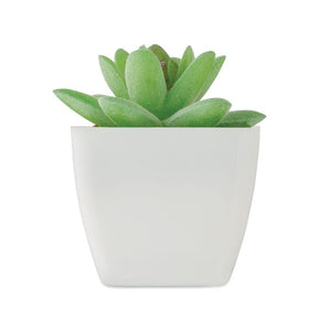 Mini pianta artificiale graptopetalum paraguayense Bianco - personalizzabile con logo