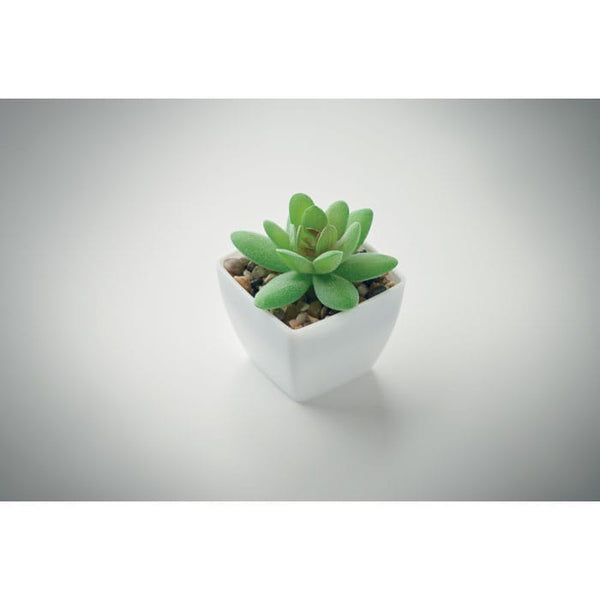 Mini pianta artificiale graptopetalum paraguayense Bianco - personalizzabile con logo